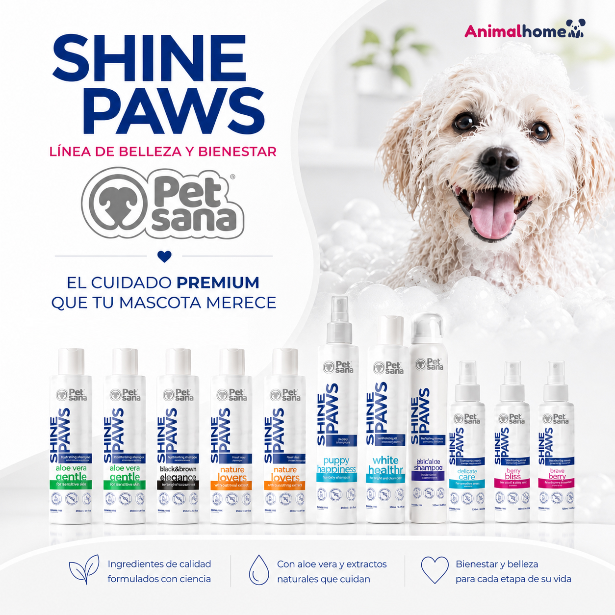 SHINE PAWS